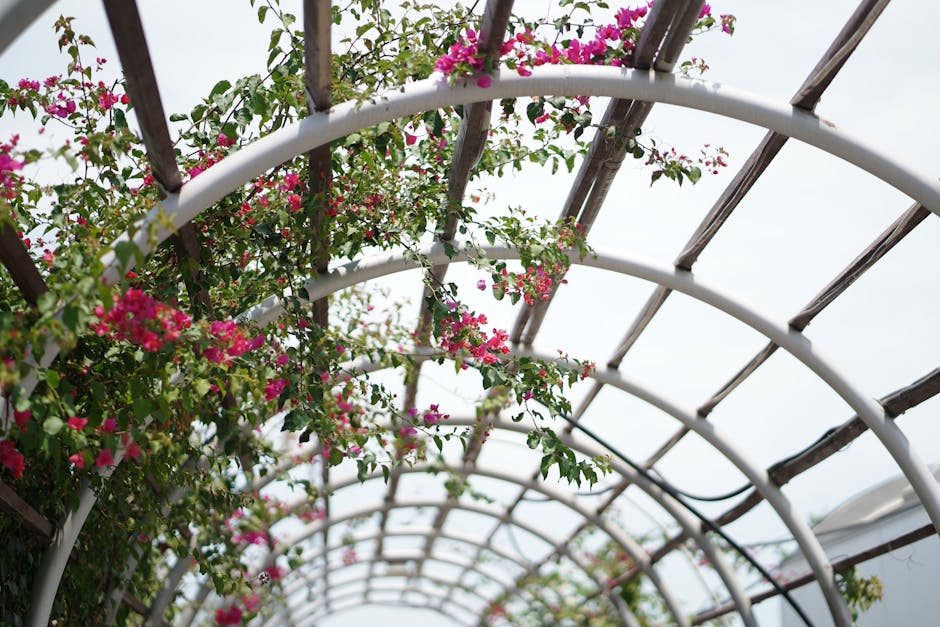 Transform Your Garden Space with Versatile Climbing Plants