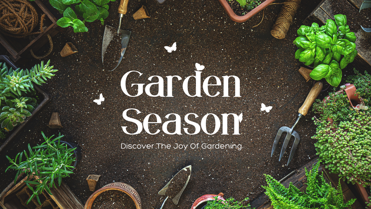 The Ultimate Guide to Pruning and Caring for Climbing Plants