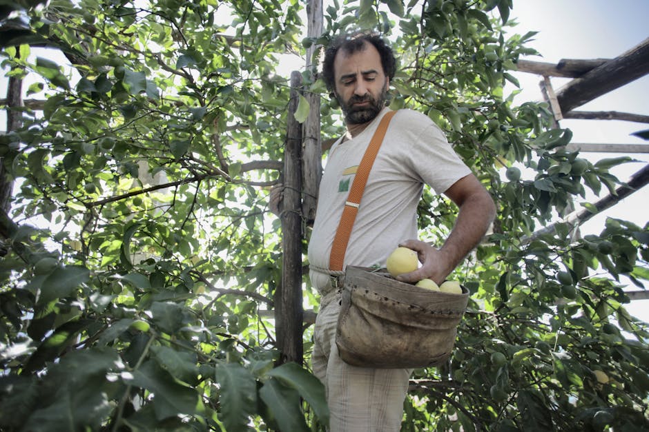 A Guide to Harvesting and Preserving the Bountiful Yields of Your Fruit Trees