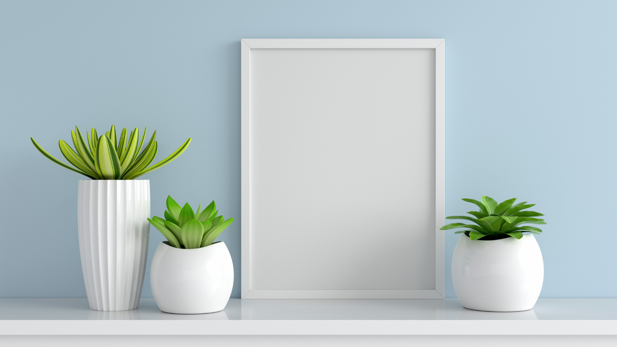 Why Investing in Quality Decorative Pots that Can Transform Your Garden
