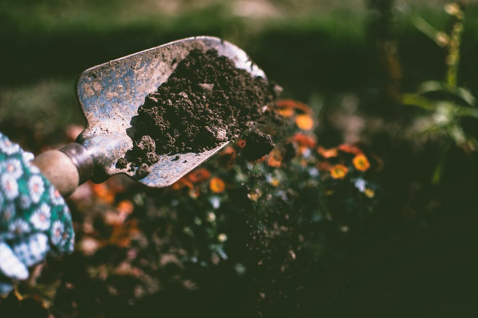 The Ultimate Guide to Improving Your Garden Soil for Lush Plant Growth
