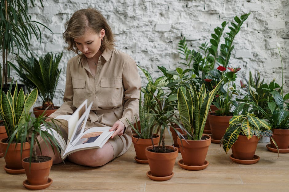 5 Essential Tips from Plant Experts for Thriving Indoor Gardens