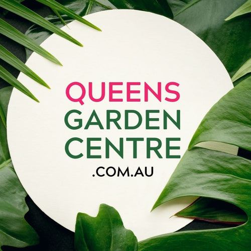 Queens Garden Centre Gift Cards