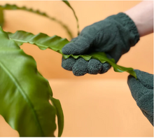 Load image into Gallery viewer, Leaf Cleaning Gloves
