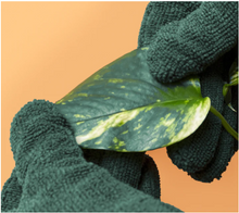 Load image into Gallery viewer, Leaf Cleaning Gloves
