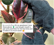 Load image into Gallery viewer, Leaf Cleaning Gloves
