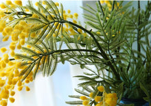 Load image into Gallery viewer, Artificial Acacia Yellow Mimosa Plush
